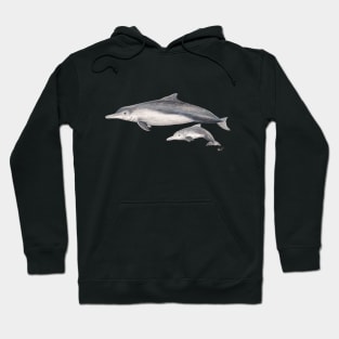 Australian humpback dolphin Hoodie